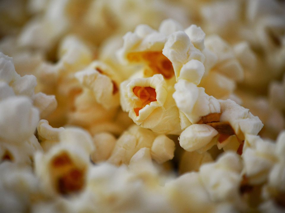 O milho que faz a pipoca é rico em fibras Unsplash