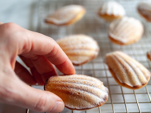 Madeleine: aprenda a fazer esse bolinho francês delicioso Envato Elements