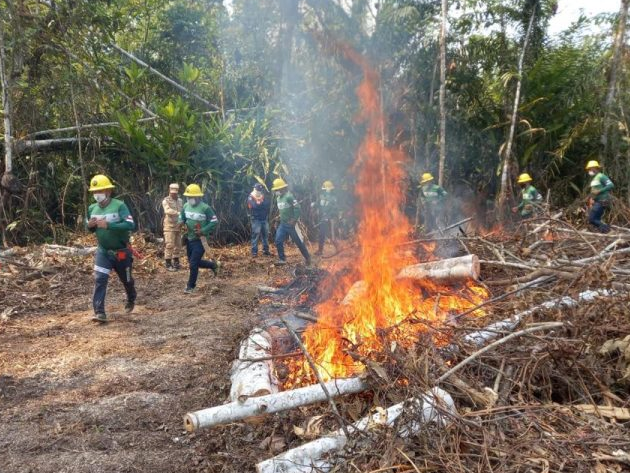 Amazonas registra recorde de queimadas em agosto