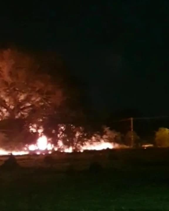 Incêndio de grandes proporções atinge área de mata em Quiririm