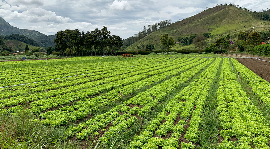 Estudo inédito aponta elevado potencial natural para a agricultura no Brasil