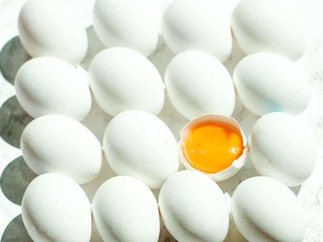 Teste ajuda a descobrir se o ovo está fresco Unsplash