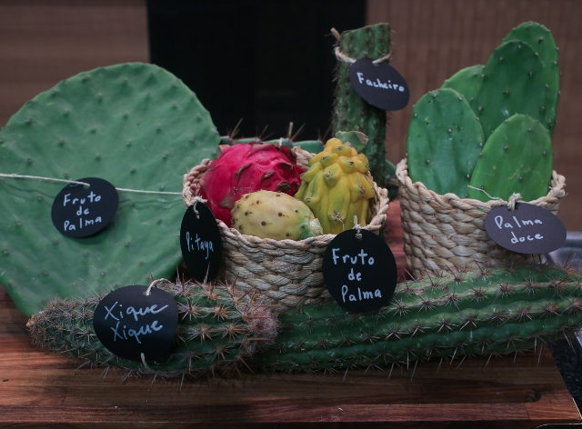 Como fazer brigadeiro de cacto? Chef Timóteo Domingos ensina receita