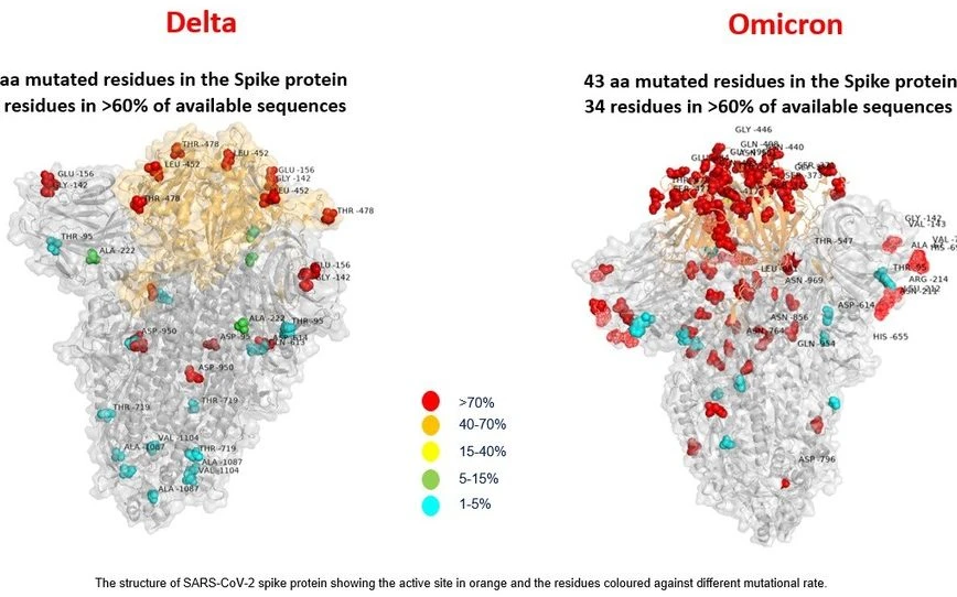Ômicron: O que se sabe sobre a nova variante da covid-19 com mais mutações
