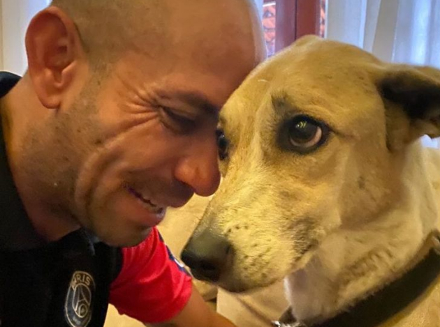 Cachorra Pandora é encontrada após 45 dias desaparecida