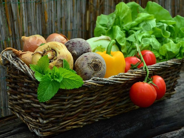 O segredo do que diferencia os alimentos está na parte comestível da planta Reprodução/Unsplash