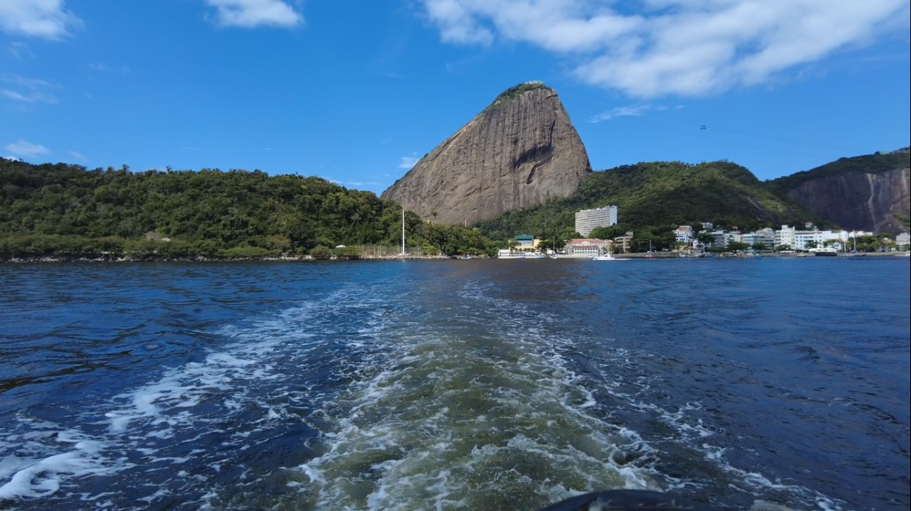 Baía de Guanabara é a quinta do mundo em diversidade de raias