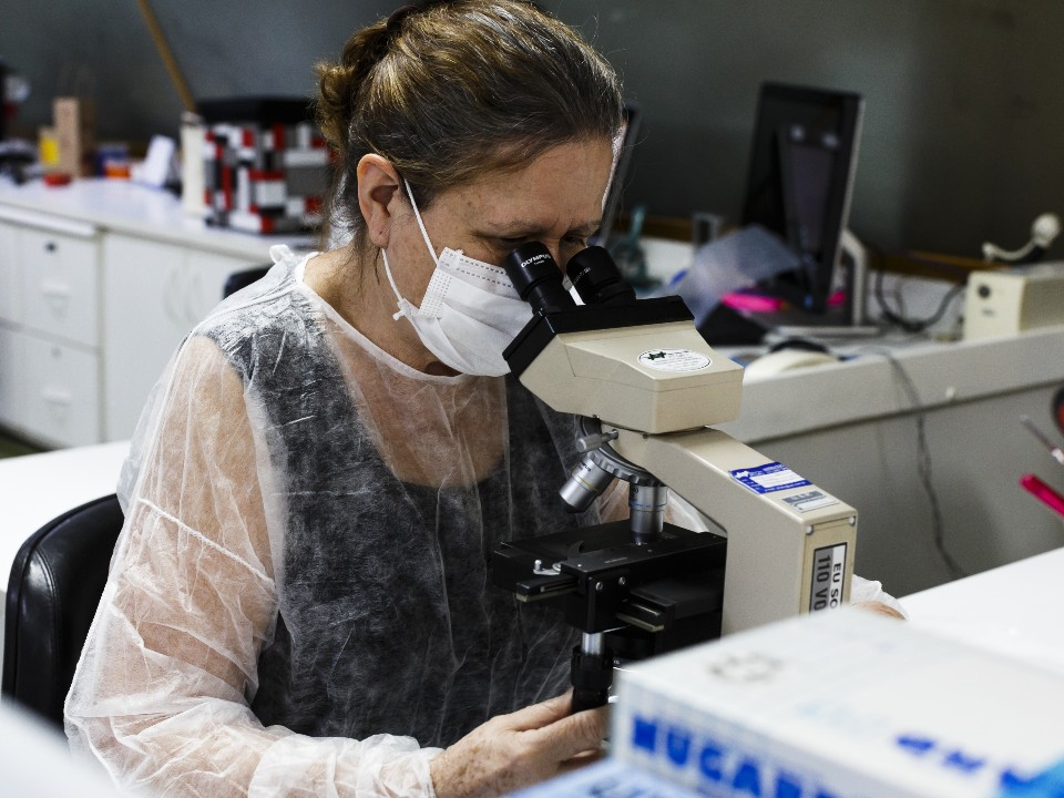 Com corte de verbas oficiais, pesquisadores lutam para fazer ciência no Brasil