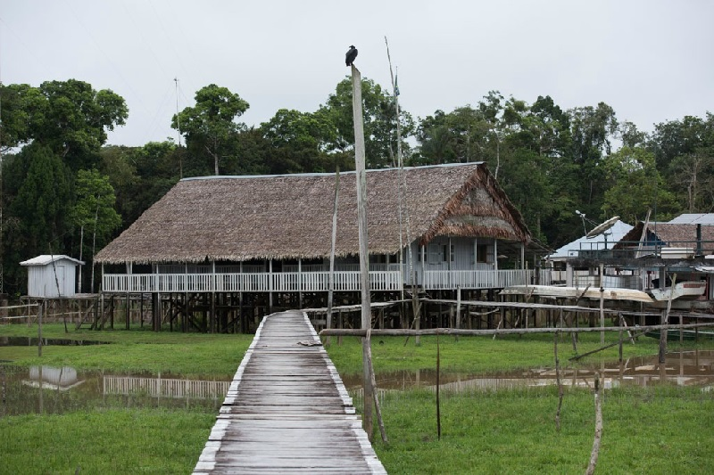Vale do Javari: conheça a região onde jornalista e indigenista desapareceram