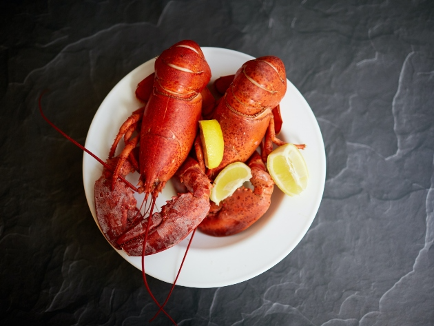 Por que lagosta tem que ser preparada viva? Entenda técnica utilizada na gastronomia
