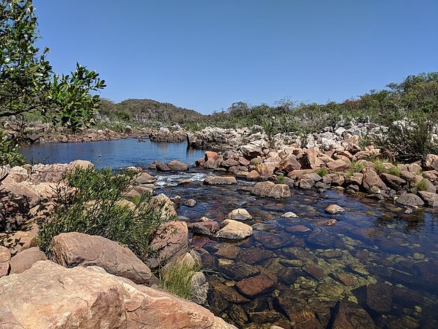 Quem vive na Chapada dos Veadeiros?