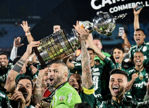 Palmeiras é o terceiro assunto mais buscado do Google no Brasil em 2021